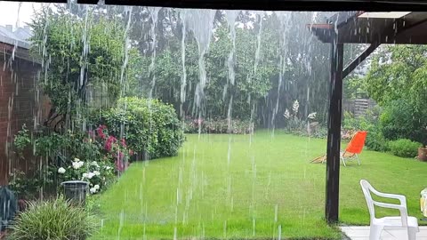 Summer Rain