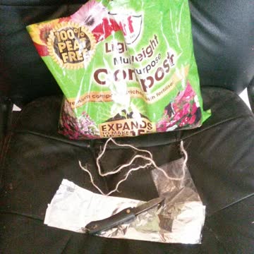 Let's do some tree work