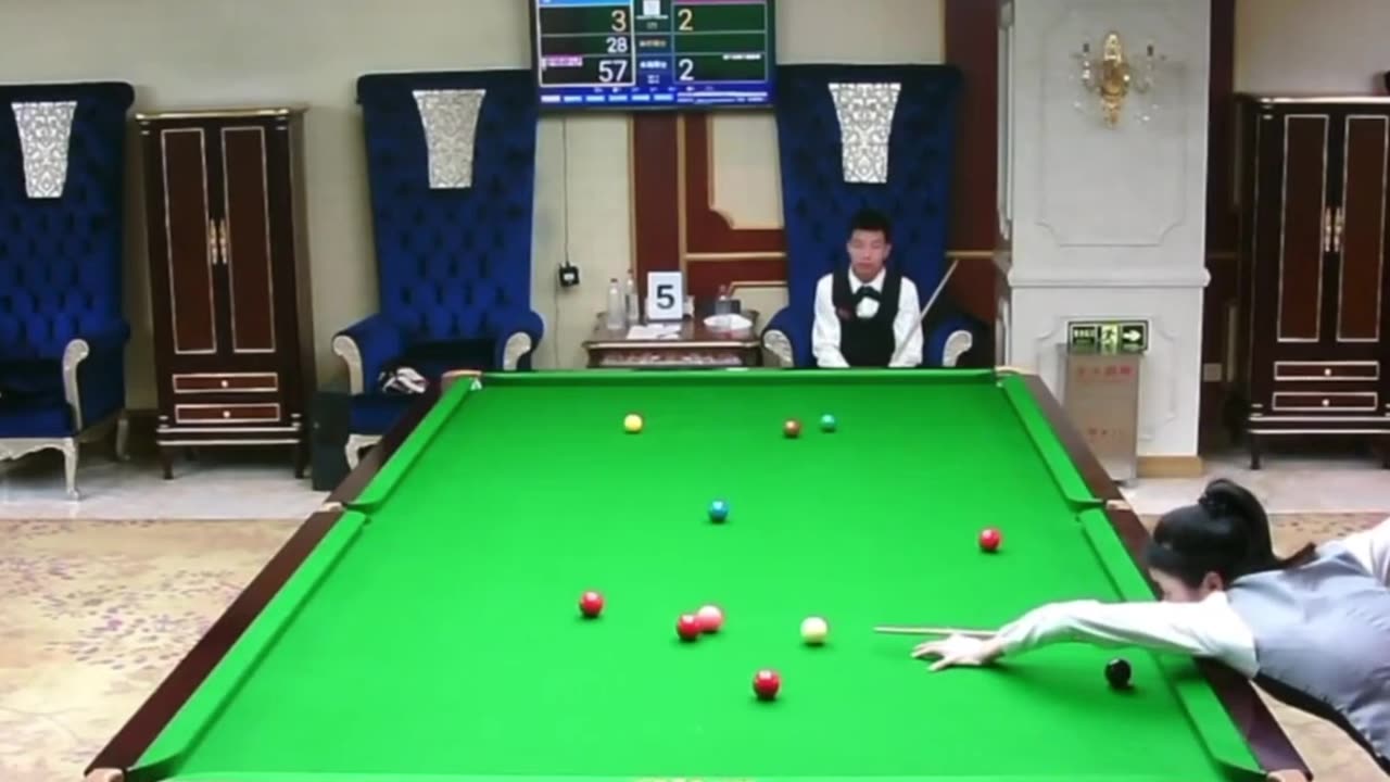 The Professional Female Billiards Player_ A Story of Skill and Determination