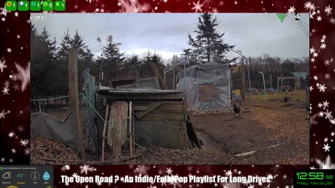 Life on Doc's Farm : Mavis Institute 🎵 🐓🦆🐝🐇🐖: Farmcore
