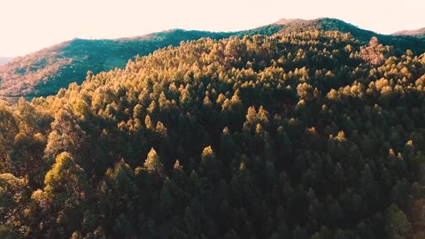 Adventure Video