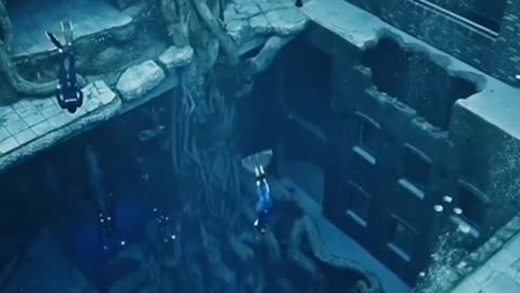 Would you swim here