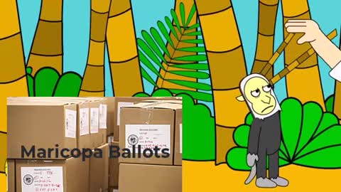 The Ballot Count Song