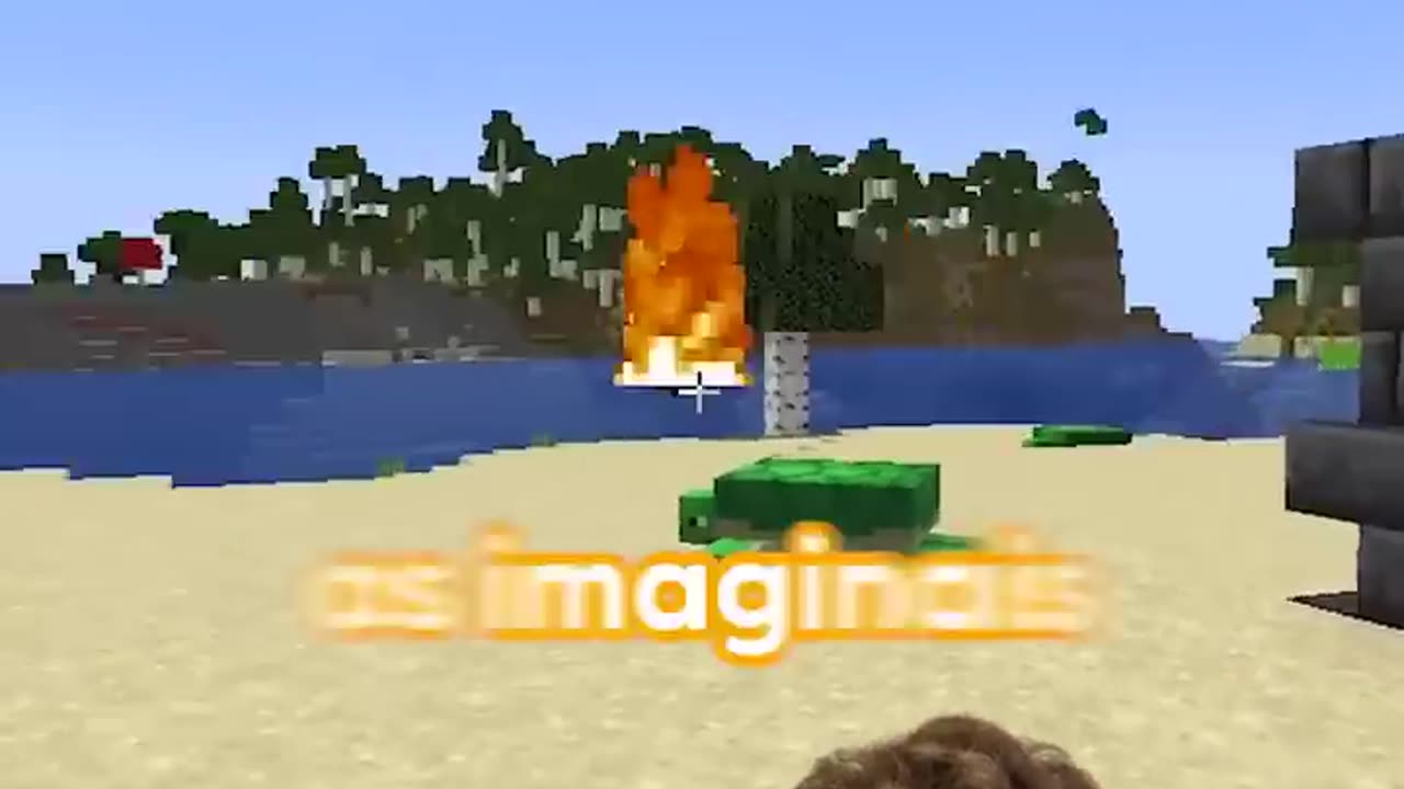 MINECRAFT vs VIDA REAL