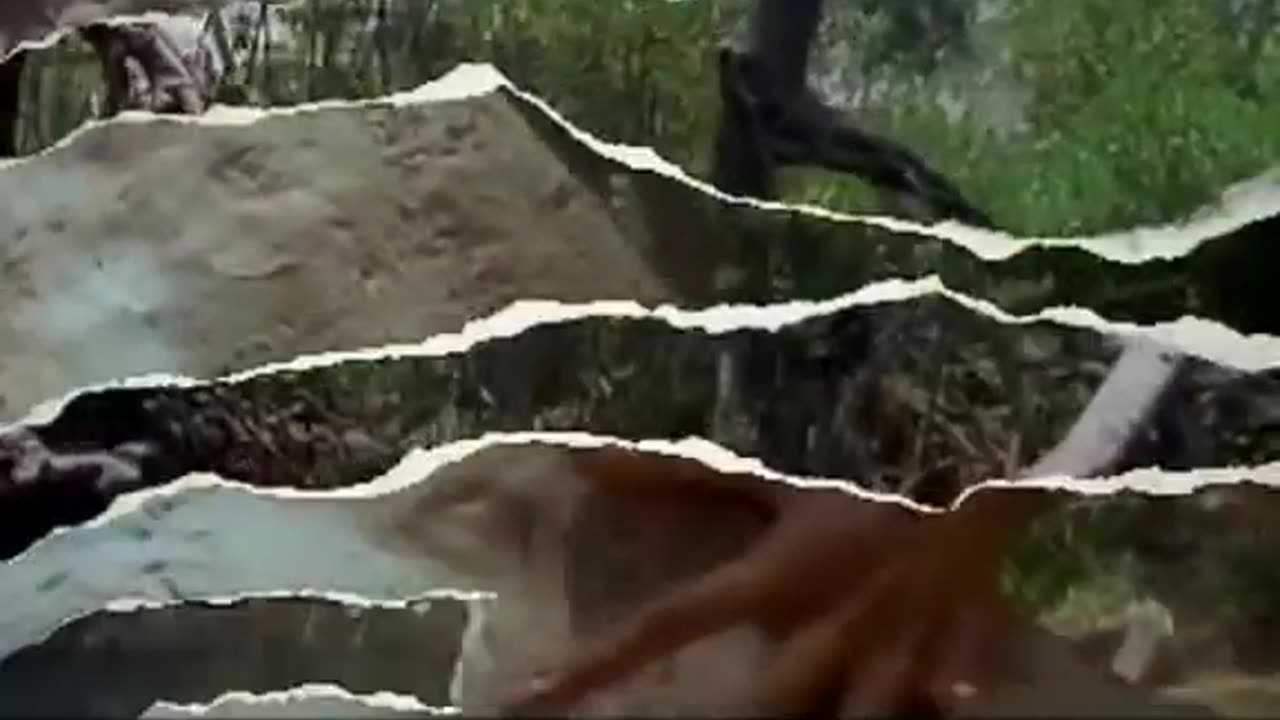 Duran Duran- Hungry like the Wolf
