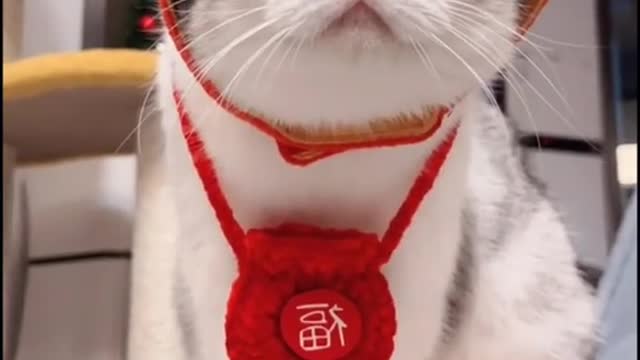 Like this little god of wealth