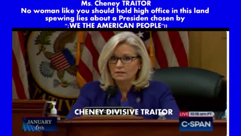 CHENEY AN UNFIT DEVISIVE TRAITOR!!!