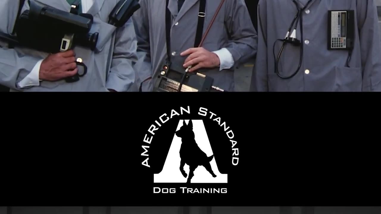 Spot the Difference: Dogbusters vs Ghostbusters