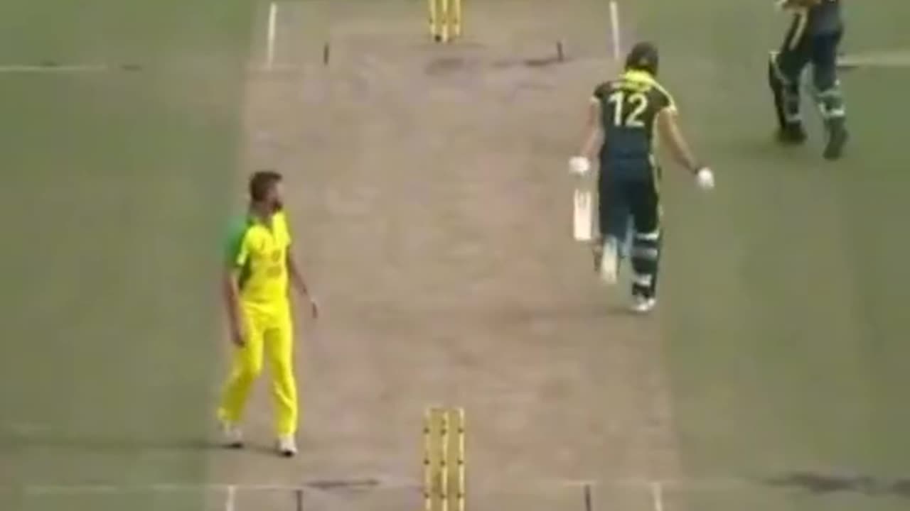 cricket funny moment
