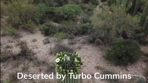 Deserted by Turbo Cummins