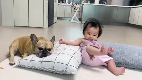 My Dog Loves Our Baby