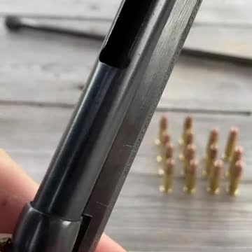 Varmint Rifle .22 Pump-Action