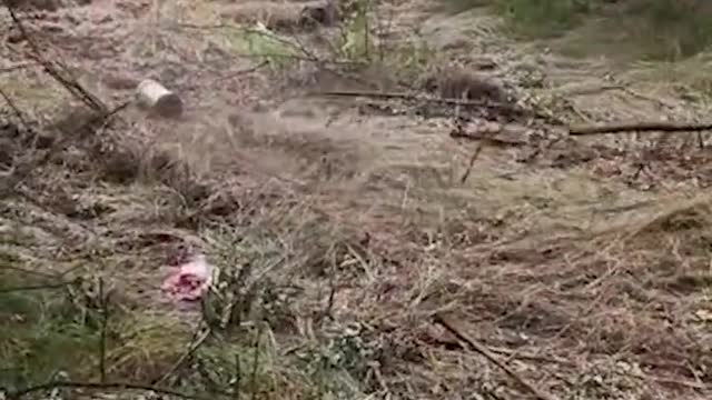 Ukrainian soldier detonates mine with a large stick