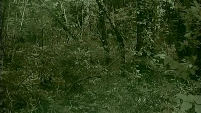 Wer war ich - Reise in ein früheres Leben 3-6 (2005, Dokumentation, German Deutsch)