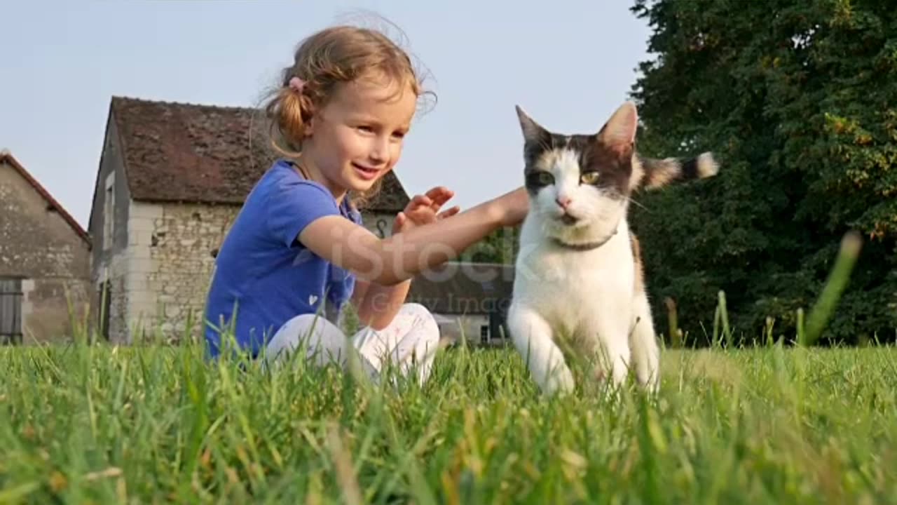 Cute obedience cat, pretty little girl