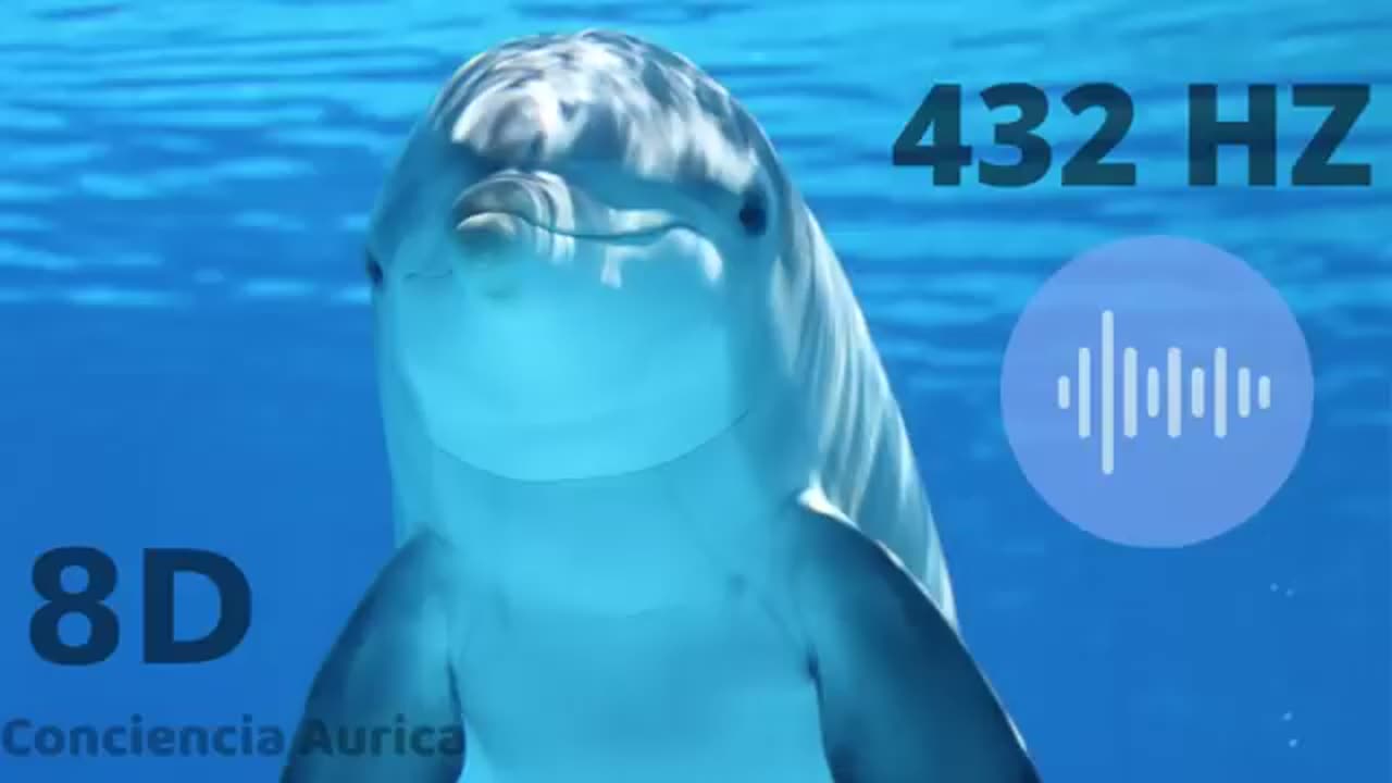 El sonido de los delfines tiene algo