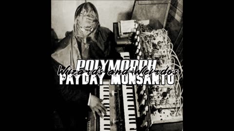 payday monsanto - wizards and weirdos (polymorph edit)