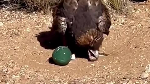 How to get a new one 🕐to be a girl to get a