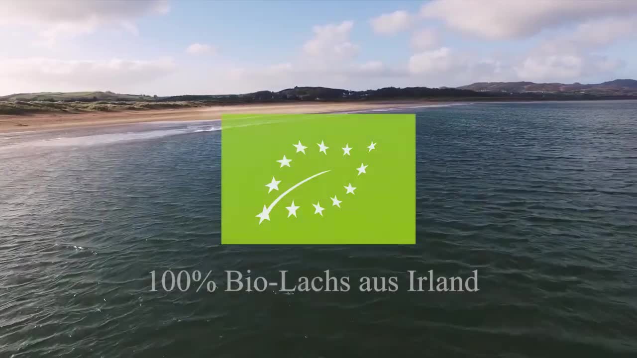 Irish Organic Salmon Video 20 second