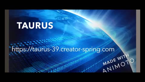 TAURUS (Online Store)