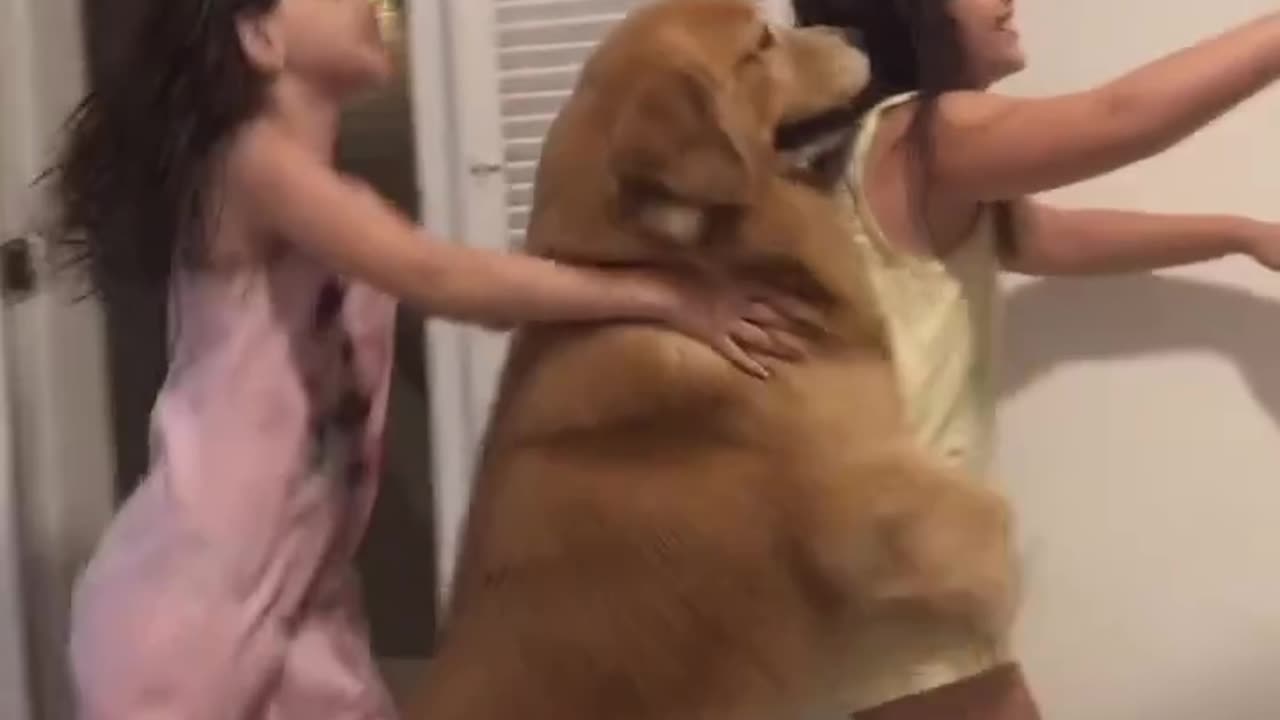 Pawfect Harmony: Adorable Dog Dances with Two Girls