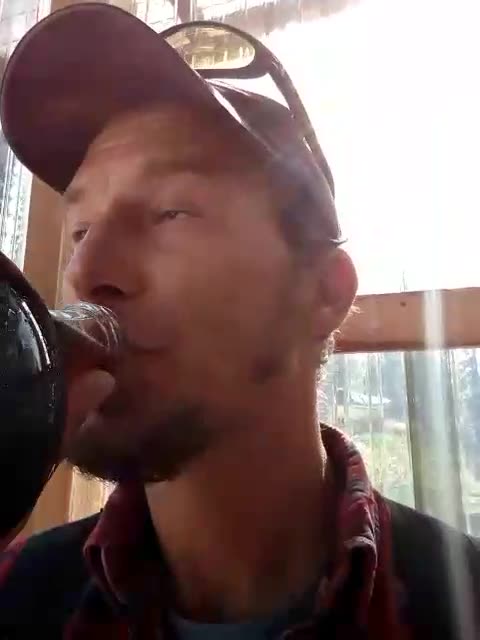 Chaga Currant Kombucha 😎🤙