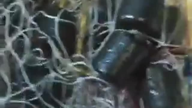 हाथ से बना कास्ट नेट उपलब्ध सभी आकार और सर्वोत्तम गुणवत्ता वाले उत्पाद उपलब्ध