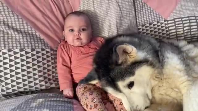 DAISY CANNOT STOP GIGGLING!!..ðŸ˜.