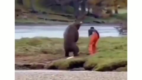 Funny video 📸 || bear comedy videi