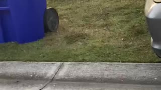 The Grinch takes a fall