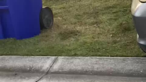 The Grinch takes a fall