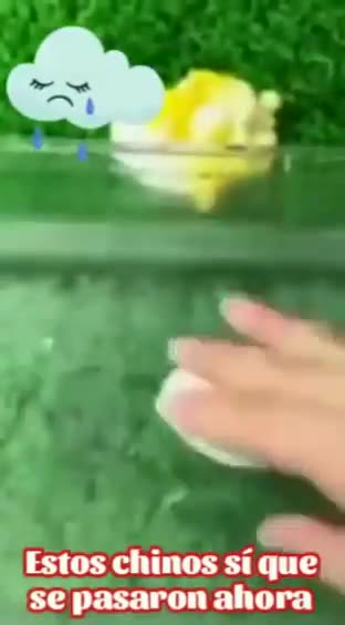 HOW ARTIFICIAL EGGS ARE MADE