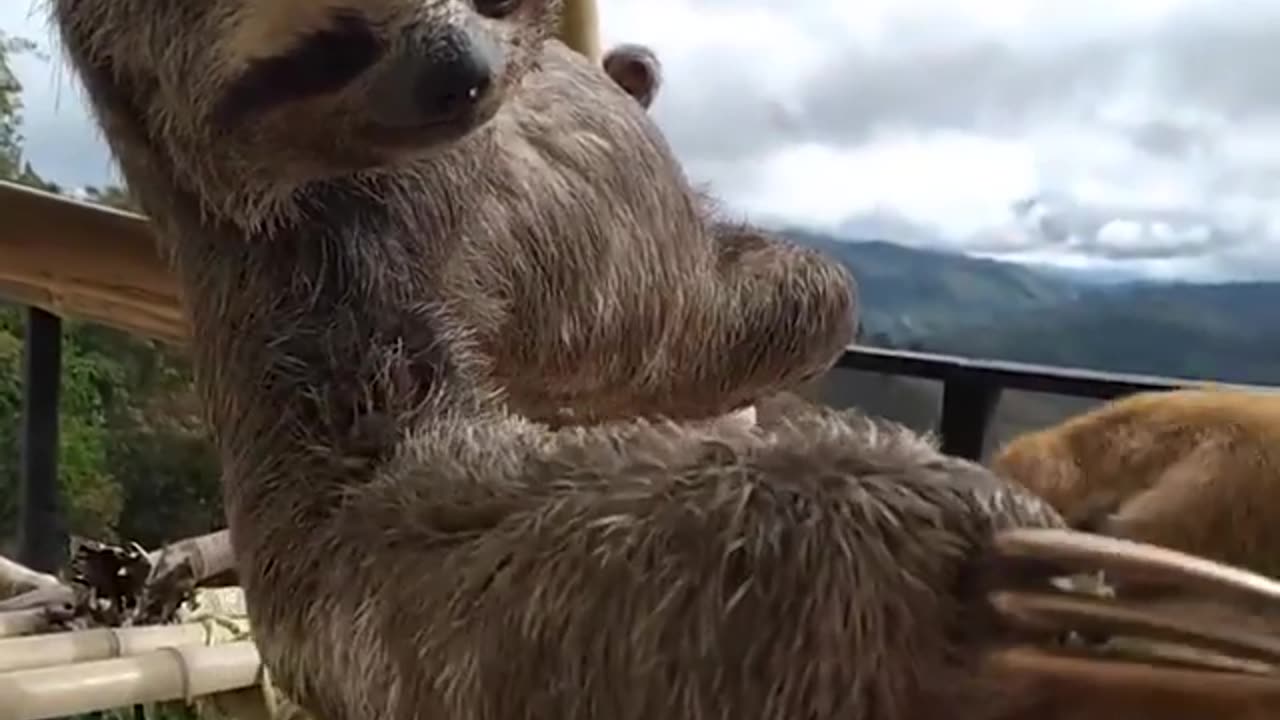 Cute