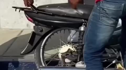 Poor bike