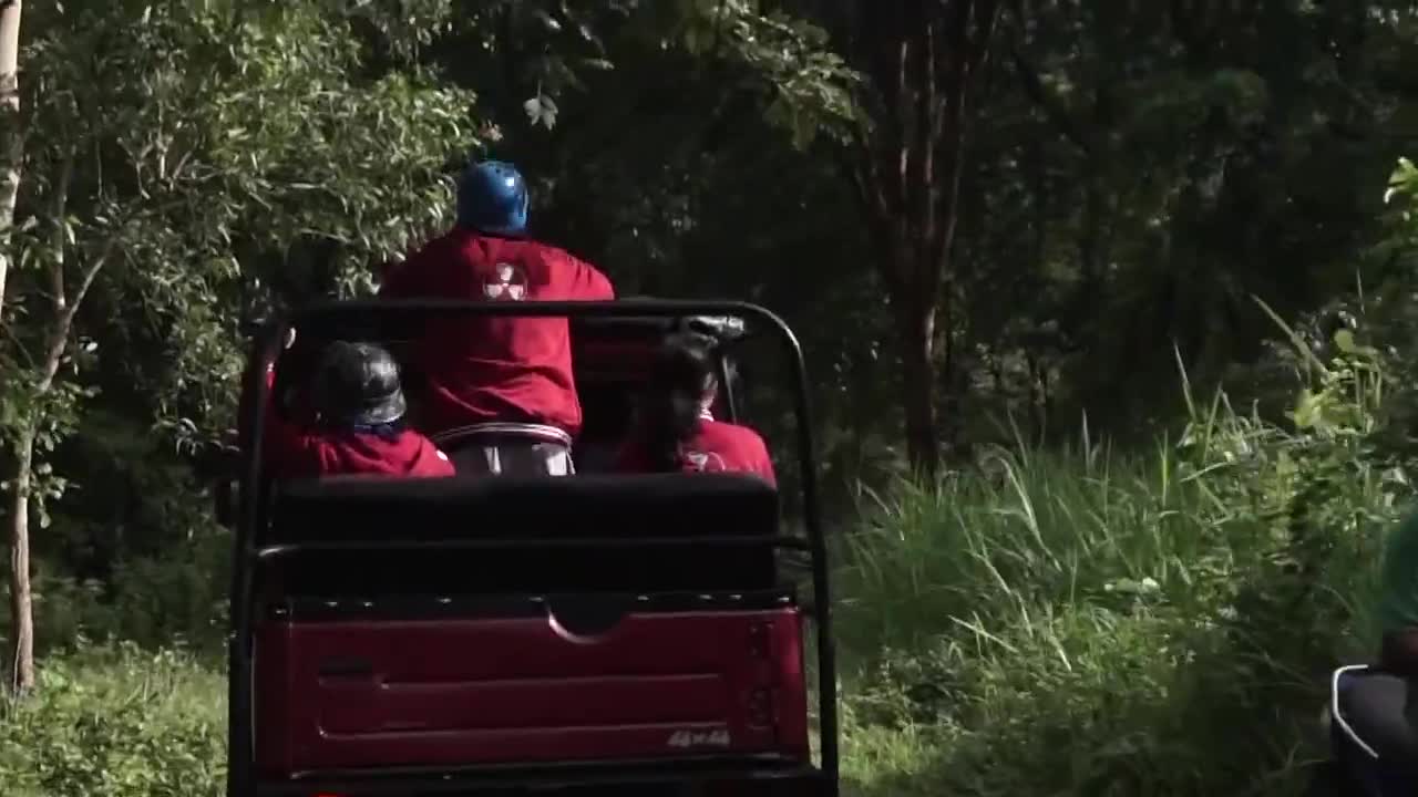 suzuki jimny katana offroad through the forest