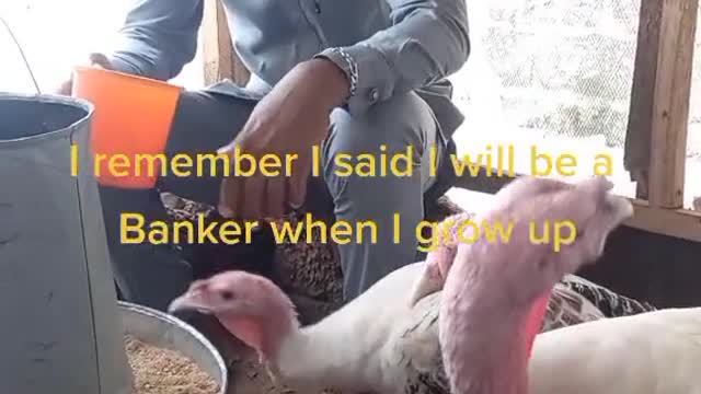 Career banker turns Poultry Farmer