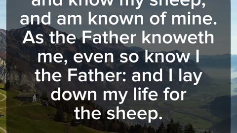 1 John 10:14-15 | Good Shepherd | #shorts #scriptures #bible