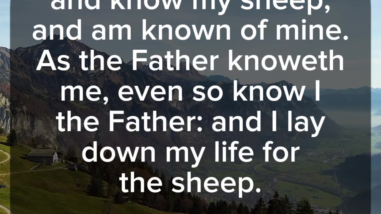 1 John 10:14-15 | Good Shepherd | #shorts #scriptures #bible