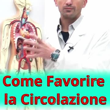 Come Aiutare la Circolazione Sanguigna?