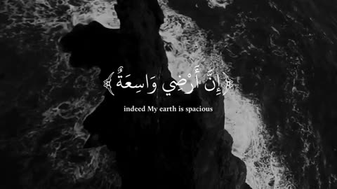 Quran recitation of the beautiful 😍❤️
