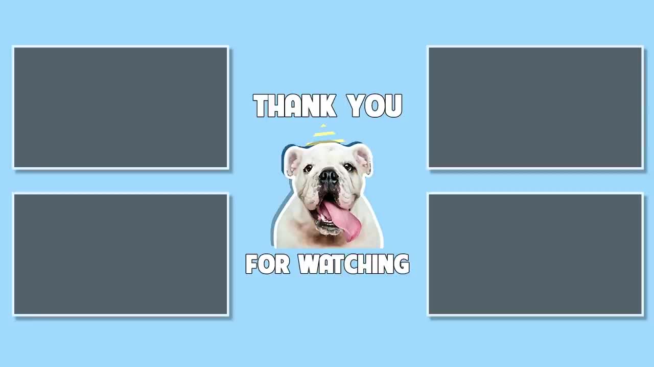 Dog Videos: Pets That Are Just Too Stupid | Pets Town