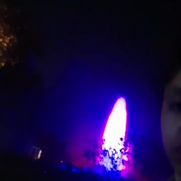 Red Tree, Purple Water.