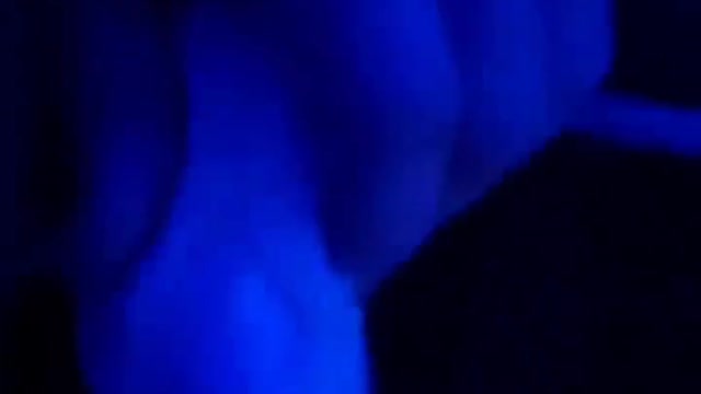 Nora Ratty - Loves Pets