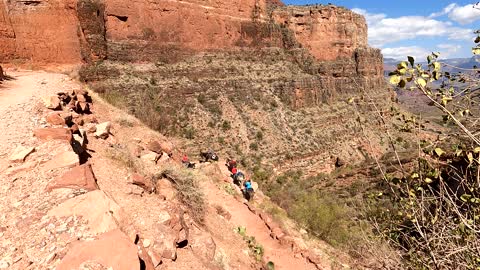 Donkeys final climb on the Bright Angel out the South Rim trailhead