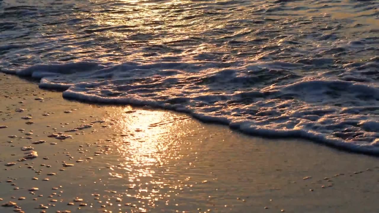 Nature's sea view and you can use this video in your video