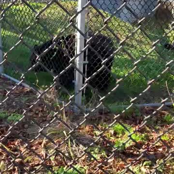 CLOSEST YOU EVER WANT TO GET