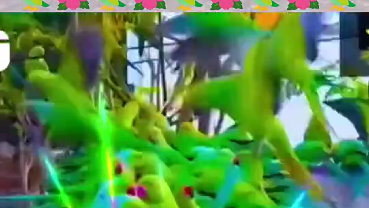 Natural trending video for all to enjoying