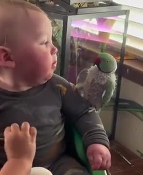 Good Morning - Short