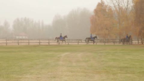 Riders On Horseback