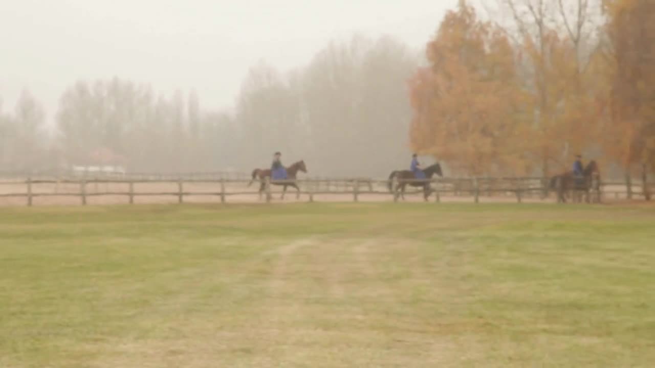 Riders On Horseback